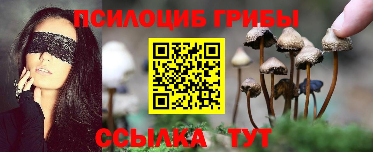 Краснодар  Псилоцибиновые грибы MAGIC MUSHROOMS  Вход с VPN 